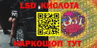бошки Краснодар