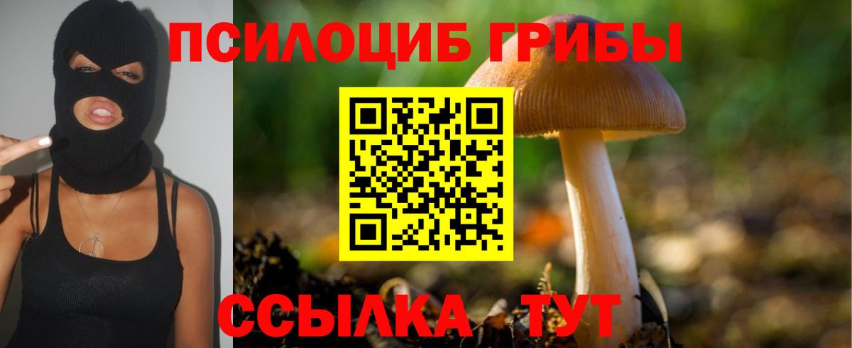 Галлюциногенные грибы мухоморы Балтийск